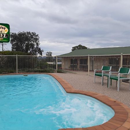 Country Rose Motel Уоруик Екстериор снимка